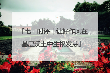 七一时评｜让好作风在基层沃土中生根发芽